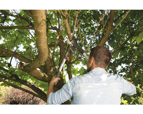 Muž strihá konáre stromov pomocou nožníc na konáre