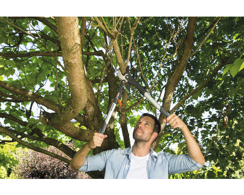 Muž strihá strom záhradnými nožnicami na konáre