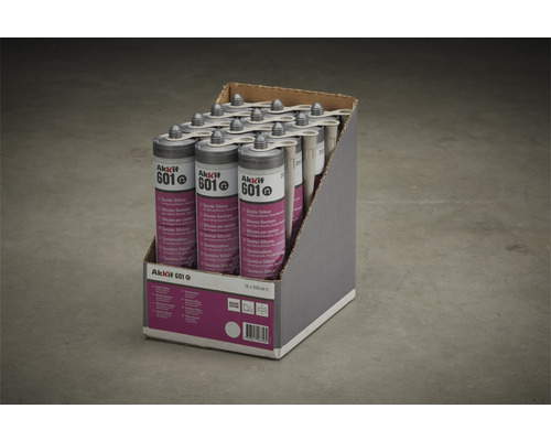 Balenie sanitárneho silikónu Akkit 601