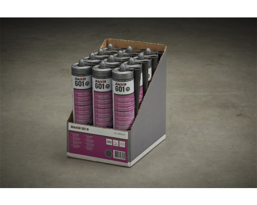 Balenie sanitárneho silikónu Akkit 601