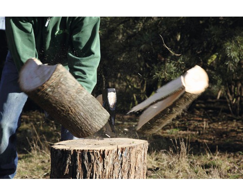 Štiepačka dreva v akcii: Poleno sa štiepe sekerou na kláte.