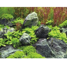 Dekorácia akvária s kameňmi a rastlinami