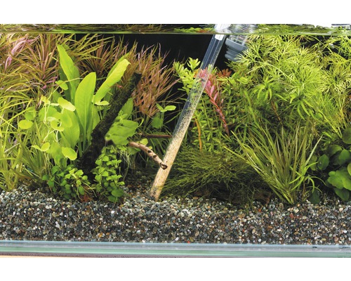 Akvárium so štrkom a rastlinami