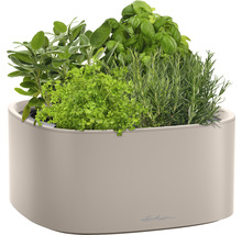 Kvetináč na bylinky s bazalkou, rozmarínom, petržlenom a šalviou