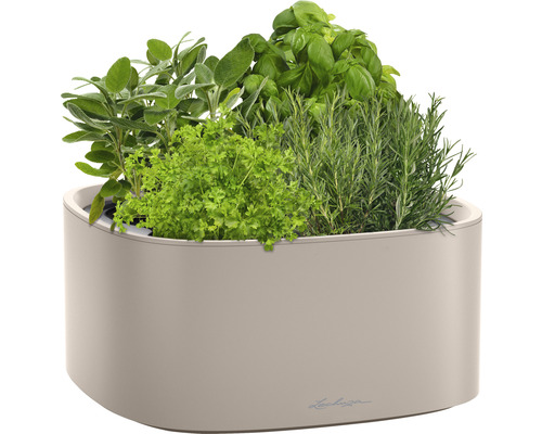 Kvetináč na bylinky s bazalkou, rozmarínom, petržlenom a šalviou