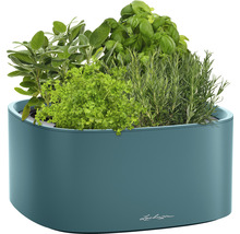 Kvetináč s bylinkami ako šalvia, petržlen, bazalka a rozmarín