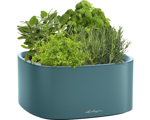 Kvetináč s bylinkami ako šalvia, petržlen, bazalka a rozmarín