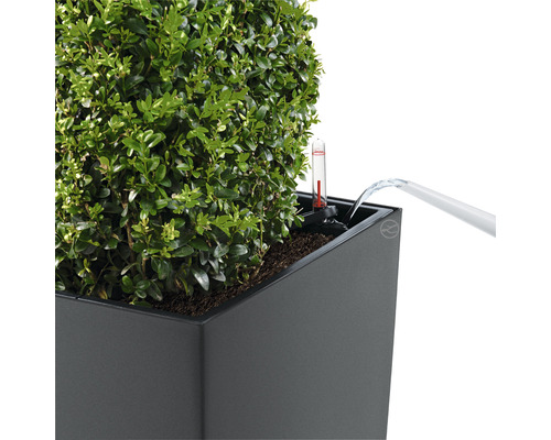 Zavlažovanie osadeného kvetináča s ukazovateľom hladiny vody.