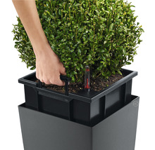 Osoba zalieva rastlinu v kvetináči so zavlažovacím systémom