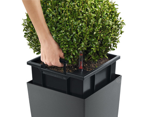 Osoba zalieva rastlinu v kvetináči so zavlažovacím systémom