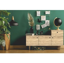 Obývacia izba s komodou, izbovou rastlinou a dekoratívnymi prvkami pre útulnú atmosféru.