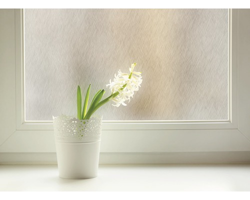 Dekoračná fólia na okne s hyacintom v kvetináči