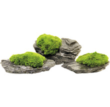 Dekoratívne kamene s machom pre akvária