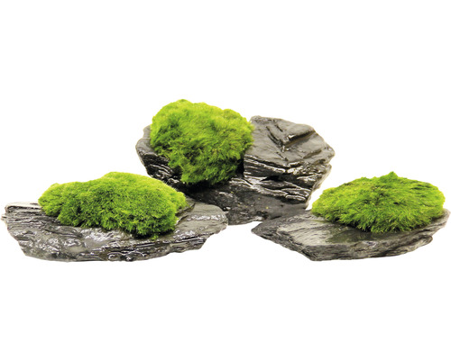 Dekoratívne kamene s machom pre akvária
