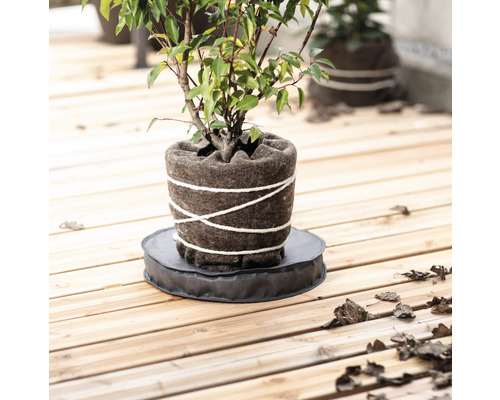 Rastlina v plstenom kvetináči s podložkou na drevenej terase