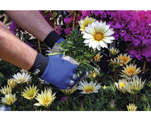 Práca na záhrade so záhradnými rukavicami medzi gazániou a bugénvilleou