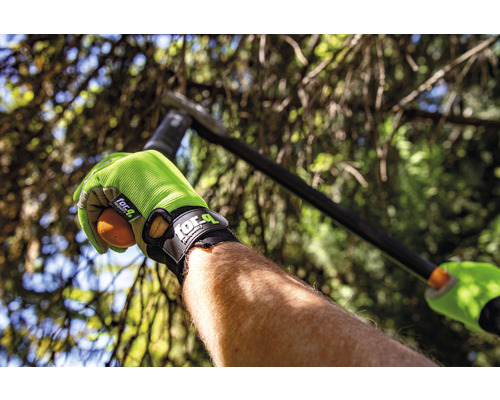 Osoba so záhradnými rukavicami drží ovocie v záhrade