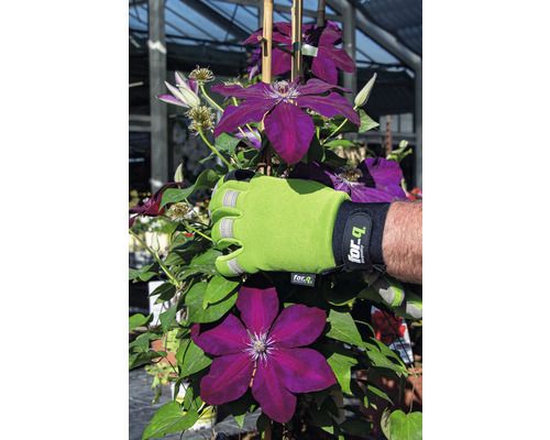 Plamienok s pracovnou rukavicou