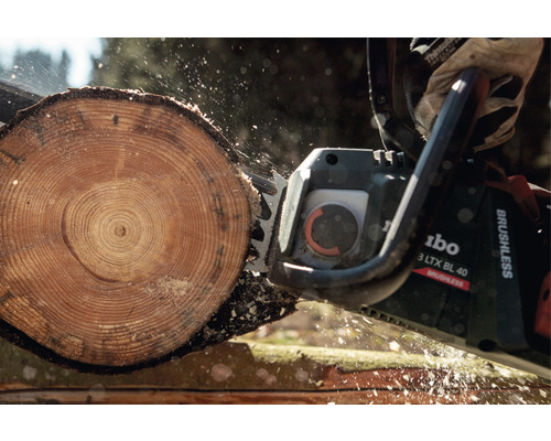 Reťazová píla reže kmeň stromu.