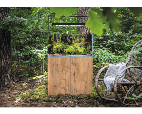 Akvárium s podstavcom a rastlinami v prírodnom prostredí