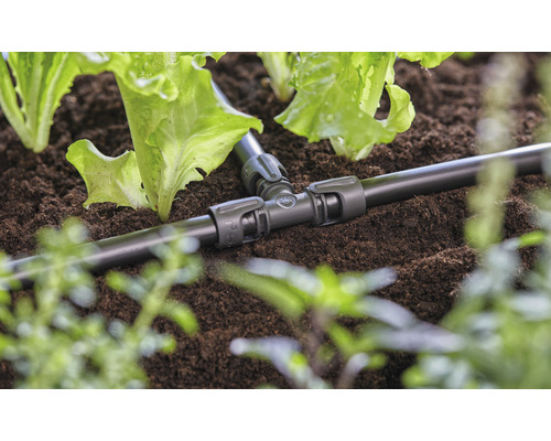 T-kus na zavlažovanie v záhradnom záhone