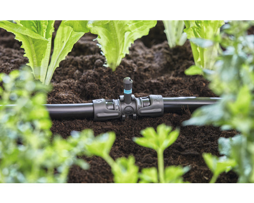 Zavlažovací systém s kvapkadlom v záhradnom záhone medzi rastlinami