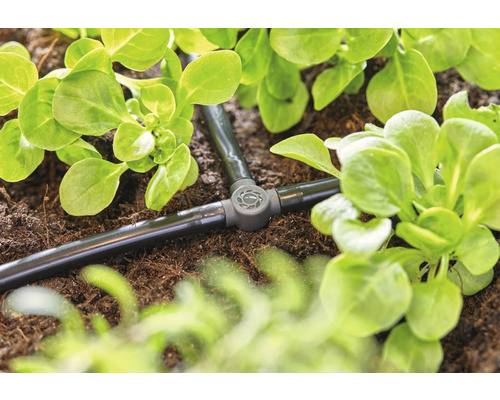 Kvapkový zavlažovací systém v záhrade s rastlinami