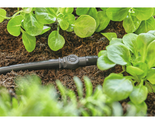 Kvapková hadica s regulačným ventilom medzi rastlinami v záhrade