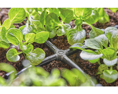 Zavlažovací systém s rozdeľovačom medzi rastlinami v záhrade