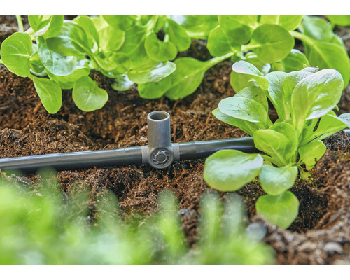 Zavlažovací systém s kvapkovacou hadicou a rastlinami