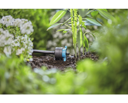 Kvapková závlaha v záhradnom záhone na zavlažovanie rastlín