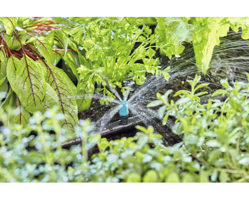 Zavlažovací systém v zeleninovom záhone so šalátom, petržlenom a bylinkami