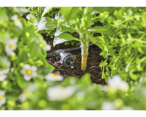 Kvapková závlaha v záhrade na zavlažovanie rastlín.