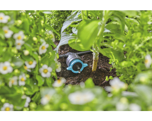 Kvapková závlaha v záhradnom záhone na zavlažovanie rastlín