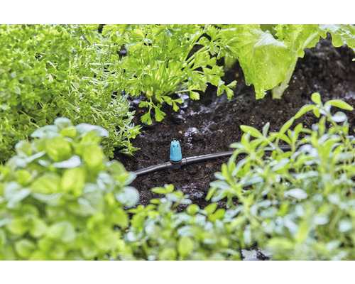 Zavlažovací systém s kvapkadlami medzi rôznymi rastlinami