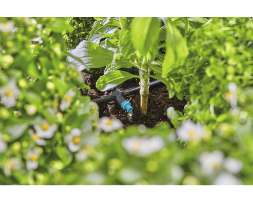 Kvapkový zavlažovací systém v záhradnom záhone s rastlinami