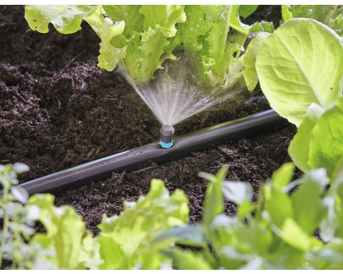 Zavlažovací systém sa používa na zavlažovanie rastlín v záhradnom záhone