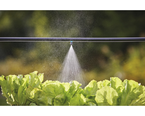 Zavlažovací systém s kvapkovou hadicou a šalátovými rastlinami