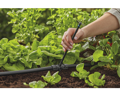 Inštalácia zavlažovacieho systému v záhrade na zásobovanie šalátu vodou