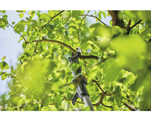 Nožnice na konáre pri práci na strome