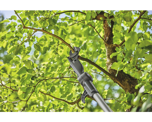 Nožnice na konáre s násadou strihajú konár na strome.