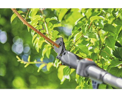 Nožnice na konáre strihajú konár s listami.
