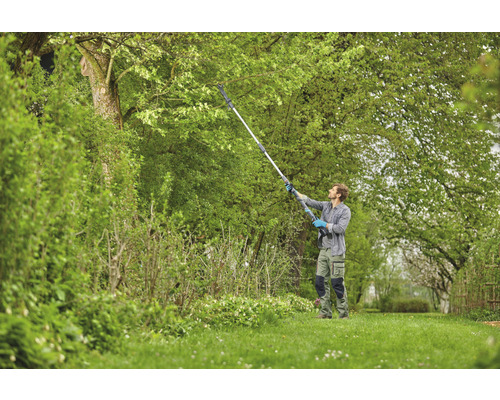 Muž strihá strom pomocou tyčovej píly v záhrade