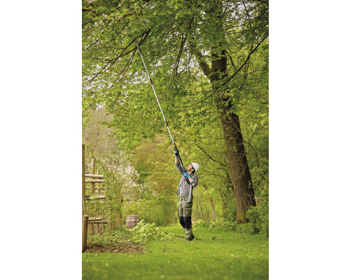 Muž strihá strom pomocou tyčovej píly v záhrade.