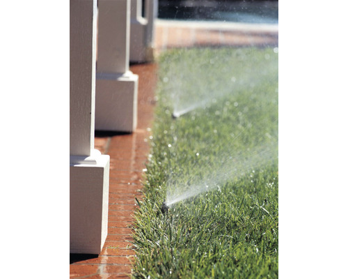 Zavlažovanie trávnika pomocou zavlažovača trávnika v záhrade