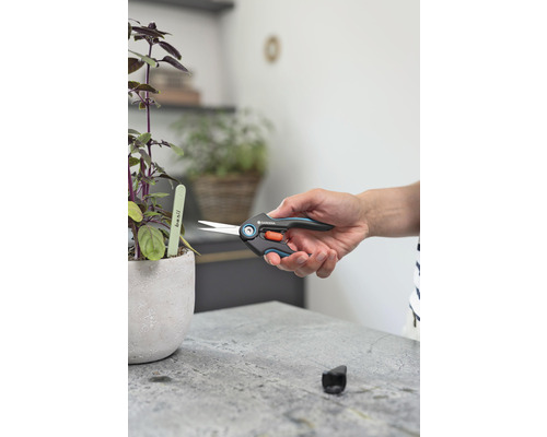 Záhradné nožnice na strihanie bazalky v kvetináči