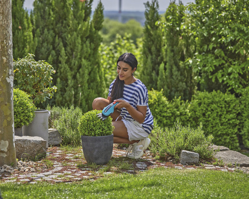 Žena strihá buxusovú guľu akumulátorovými nožnicami na kríky v záhrade