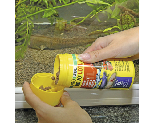 Kŕmenie axolotlov v akváriu krmivom JBL NovoLotl