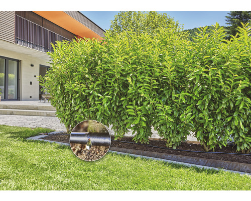 Kvapkový zavlažovací systém v záhrade na zavlažovanie rastlín