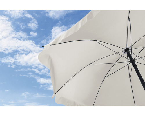 Pohľad zdola na slnečník na pozadí modrej oblohy